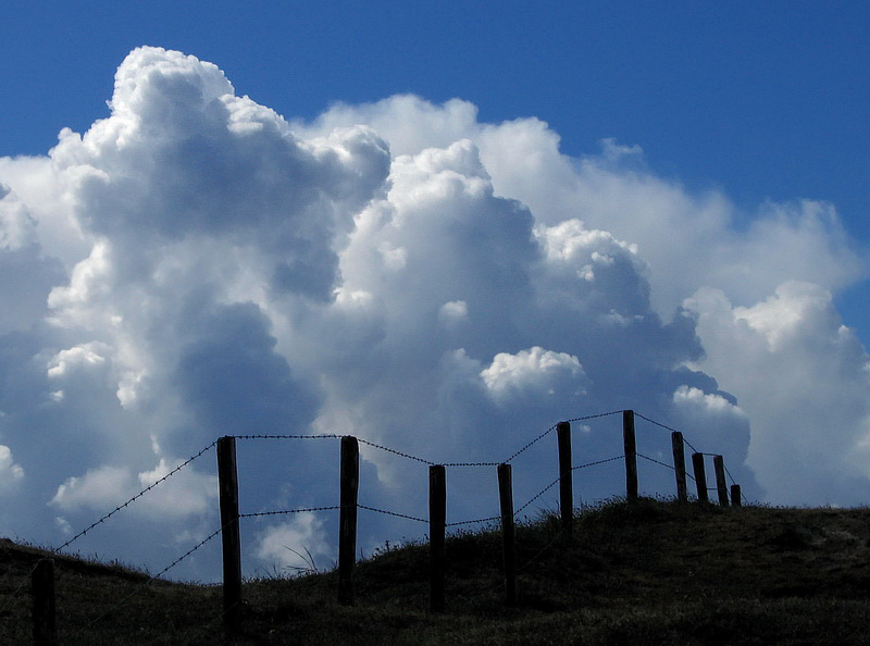 Texel Zaun Himmel  PICT 1977_hnf_100_Bildgröße ändern.jpg